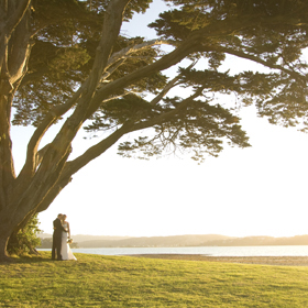 Amy Schulz Photography