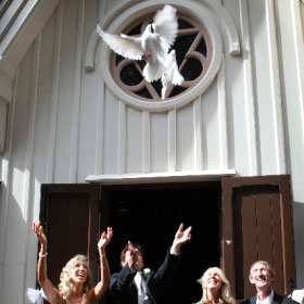 Divine Doves